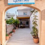 LYBIAN8