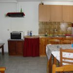 fedra8