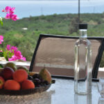 thalassa11