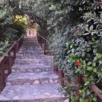 ANEVOLEMA5
