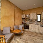 Olive Luxury Suites 3