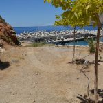 4d15c-DSC_2122