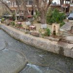Chania 80