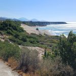 Orthi Ammos