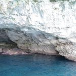 ad261-DSC_2524