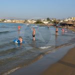 d33ca-DSC_8565