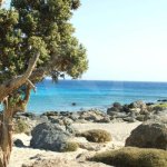 thumb__b753d-DSC01190