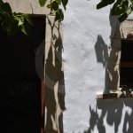 thumb__e2df0-DSC_2153