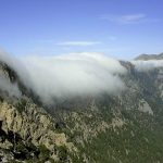 white-mountains-summer-15
