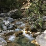 Agia 2