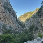 Agia 3