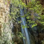 images - 2026-10-16T083358.931