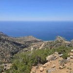 images - 2026-10-16T115634.482