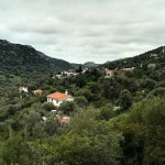 images - 2026-10-19T105727.420