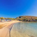 tersanas 5