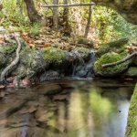River Place Nature Trail, Austin, Texas, USA