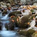 View of a water stream in the forest of Dirfi mountain in Greece