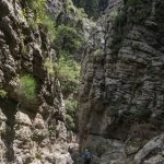 IMG_1255
