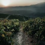 images - 2026-10-21T084136.340