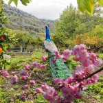 images - 2026-10-21T085513.491