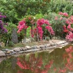 images - 2026-10-21T085518.171