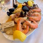 images - 2026-10-21T120532.720