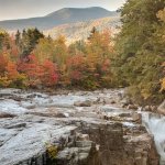 images - 2026-10-22T110036.610