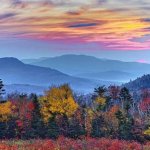 images - 2026-10-22T110039.553