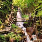 images - 2026-10-22T110042.780